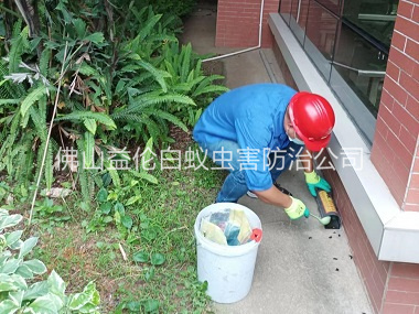 禅城施药灭鼠工程