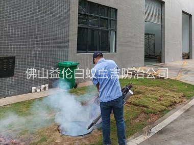 祖庙厂区杀蟑螂蚊蝇工程